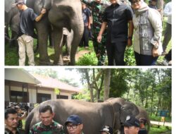 Ketua DPRD Lampung: Atensi Presiden Jadikan Way Kambas Percontohan Nasional Harus Dikawal Bersama